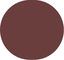 hex-color #693e3c circle